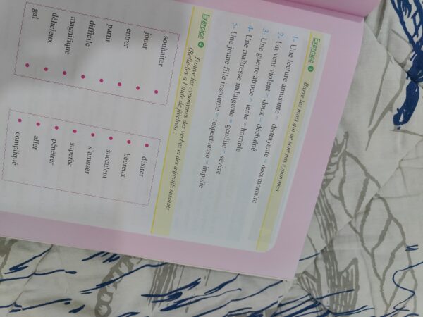 IMG-20241031-WA0007 Un PACKAGE Pour Apprendre La Langue Française Facilement 😍 (Cadeau + Livraison Gratuite Depuis La Maison)