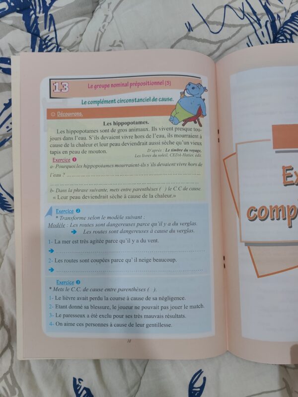 IMG-20241031-WA0019 Un PACKAGE Pour Apprendre La Langue Française Facilement 😍 (Cadeau + Livraison Gratuite Depuis La Maison)